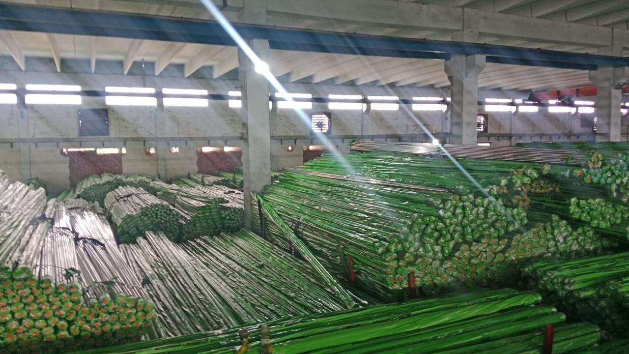 Round Pipes